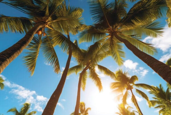 Aircon Hire rental in Far north QLD | Aircon Rentals