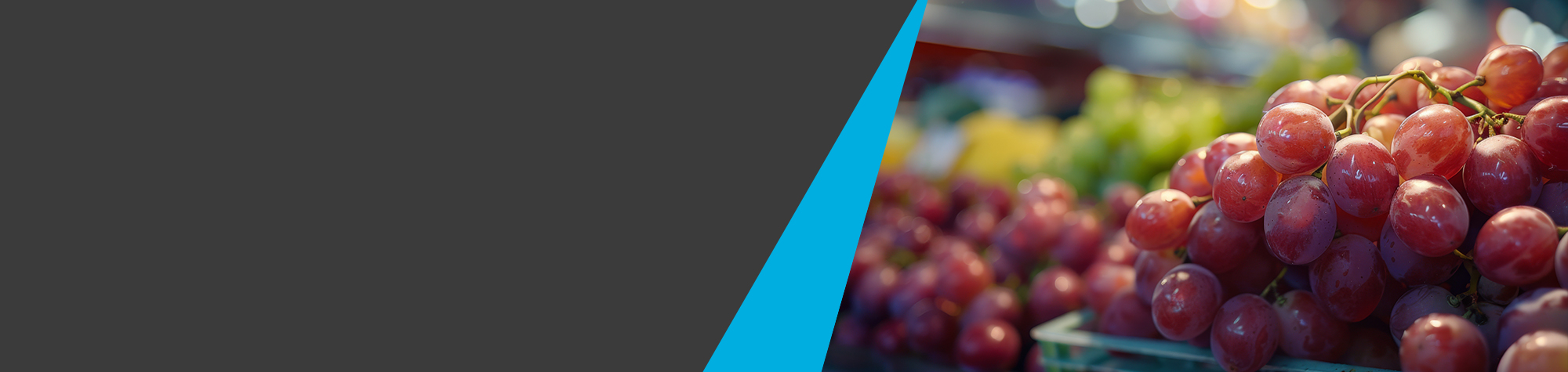 [Insights] Safeguard Your Grapes with Temporary Winery Refrigeration Hire