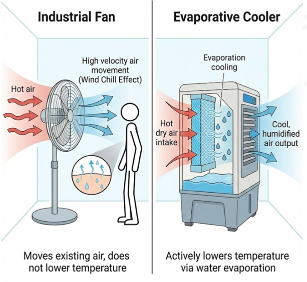 Side-by-side illustration comparing an industrial fan and an evaporative cooler, showing that a fan creates a wind-chill effect by moving air while an evaporative cooler lowers air temperature through water evaporation.
